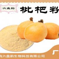 枇杷粉 枇杷果粉 水溶性食品饮料原料