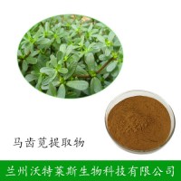 马齿苋提取物 10:1规格马齿笕皂甙 植物萃取马齿笕粉原料