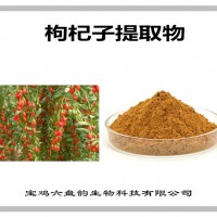 枸杞子提取物 枸杞子粉 药食同源原料