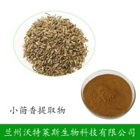 小茴香提取物 大量库存  批发价格