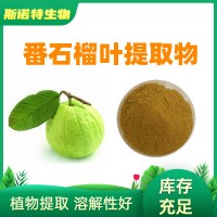番石榴叶提取物Guava Leaf Extract番石榴叶粉