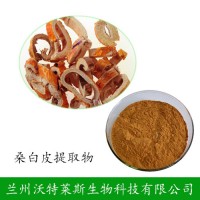 桑白皮提取物  现货供应 1kg 起量大优