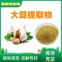 大蒜提取物10:1 水溶性大蒜粉 厂家供应