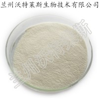 芦荟冻干粉200:1 芦荟提取物 库拉索芦荟凝胶粉