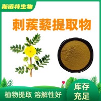 刺蒺藜提取物10:1刺蒺蔾粉皂甙 工厂发货