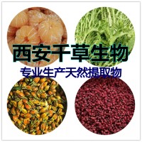 白豆蔻天然浓缩流浸膏可按需定制白豆蔻水溶粉