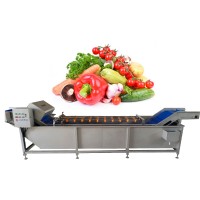 苹果清洗机厂家参数 水果蔬菜清洗机 涡流式洗菜机器JY-52