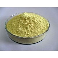 沙棘叶提取物 10：1比例 沙棘叶黄酮  沙棘果粉