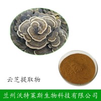 云芝 植物真菌提取物 云芝多糖 现货供应