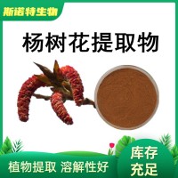 杨树花提取物 水溶原料 浓缩杨树花粉 厂家发货