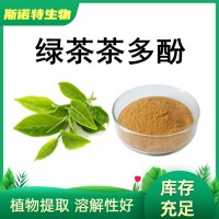 绿茶提取物 茶多酚98% 儿茶素75% EGCG45%