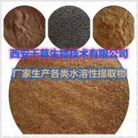 香青蒿提取物香青蒿浓缩粉香青蒿浸膏粉 厂家生产天然原料水溶粉