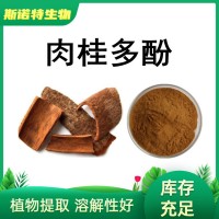 肉桂提取物 肉桂多酚10%肉桂粉厂家供应