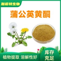 蒲公英黄酮20Dandelion Extract蒲公英提取物