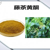藤茶提取物 藤茶黄酮 藤茶粉 植物提取物原料