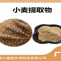 小麦提取物 批发 小麦粉 比例提取