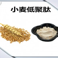 小麦提取物 植物提取物 小麦低聚肽 小麦粉