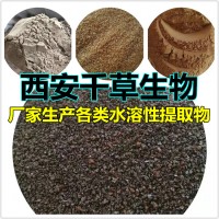 橄核莲提取物橄核莲浓缩粉橄核莲浸膏粉 厂家生产水溶性提取物