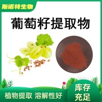 葡萄籽提取物 原花青素OPC95% 葡萄籽原料粉