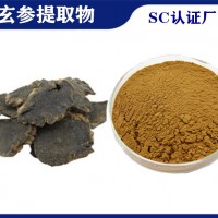 玄参提取物玄参甙 植提厂家供应玄参粉