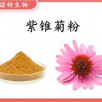 紫锥菊粉 紫锥菊提取物 水溶多规格 资质齐全