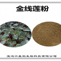 金线莲速溶粉 水溶性原料 金线莲粉