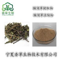 猫须草提取物猫须草粉80目肾茶提取物10:1化石草提取物厂家