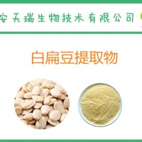 白扁豆提取物10:1  白扁豆粉  新货出厂