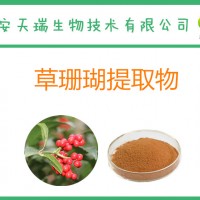 草珊瑚提取物30:1 草珊瑚粉 全水溶厂家包邮