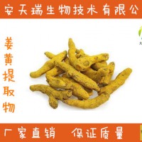 姜黄粗提物 饲料级姜黄粉 姜黄提取物 资质齐全