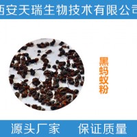 黑蚂蚁提取物10:1 拟黑多刺蚁提取物