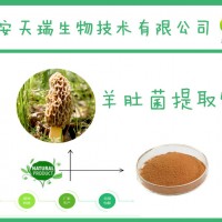 羊肚菌提取物 10:1 羊肚菌多糖