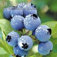 蓝莓果花青素