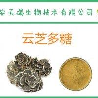 云芝多糖50% 云芝提取物50 源头厂家