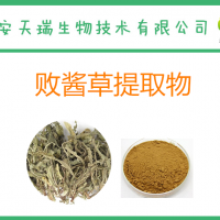 败酱草提取物10:1 菥蓂提取物 厂家自销 量大从优