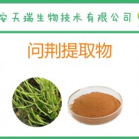 问荆提取物10:1 水溶问荆粉 另有20:1