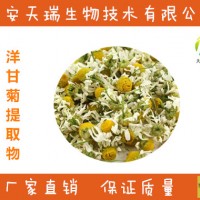 洋甘菊提取物10:1 水溶洋甘菊粉 另有20:1