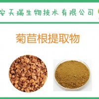 菊苣提取物10:1 另有20:1 水溶菊苣粉