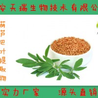 葫芦巴提取物10:1 水溶葫芦巴粉 另有20:1