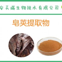 皂荚提取物 10:1 皂角提取物 SC厂家现货