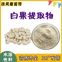 白果提取物 白果粉 食品级 速溶