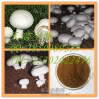 洋蘑菇提取物   洋蘑菇浸膏粉  双孢蘑菇提取物