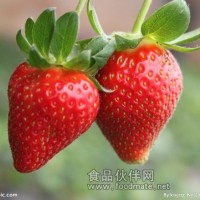 草莓提取物   草莓浸膏粉   草莓浓缩粉