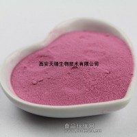 蓝莓提取物 25%蓝莓花青素 花色苷