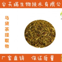 马黛茶提取物  马黛茶粉