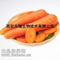 果蔬粉 固体饮料 天然胡萝卜粉