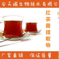 红茶菌提取物  红茶菌多糖