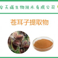 苍耳子提取物10:1 苍耳提取物 全水溶包邮