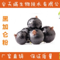 黑加仑粉  黑加仑提取物 10:1 黑加仑花青素