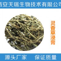 灵香草浸膏 灵香草浓缩液